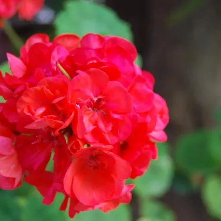 Margarita 110 - Newly Renovated